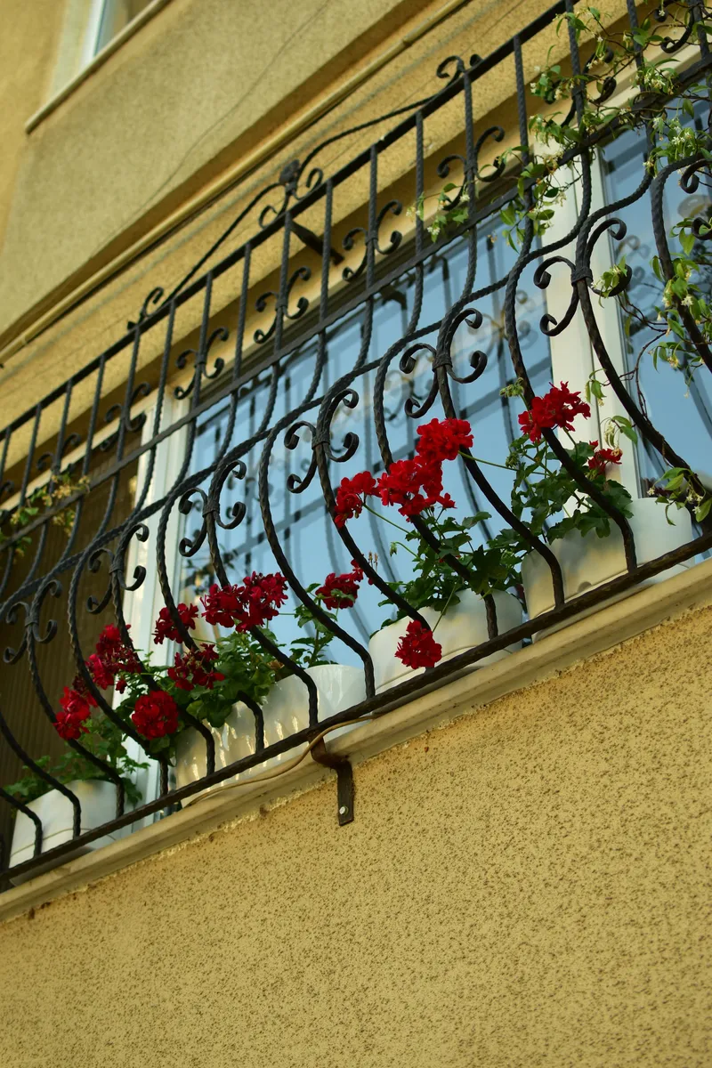 Garde-corps de balcon en fer forgé noir, motif en volutes, géraniums rouges grimpant à travers la structure
