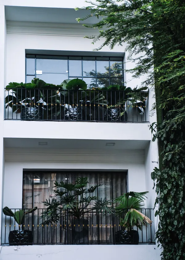 Façade avec balcons à garde-corps en fer forgé noir, plantes vertes luxuriantes